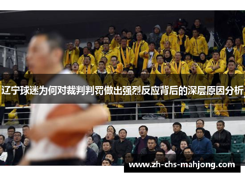 辽宁球迷为何对裁判判罚做出强烈反应背后的深层原因分析 辽宁球迷为何对裁判判罚做出强烈反应背后的深层原因分析