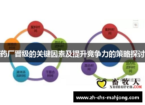 药厂晋级的关键因素及提升竞争力的策略探讨 药厂晋级的关键因素及提升竞争力的策略探讨