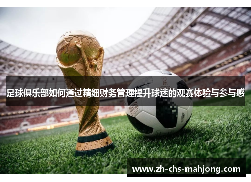 足球俱乐部如何通过精细财务管理提升球迷的观赛体验与参与感 足球俱乐部如何通过精细财务管理提升球迷的观赛体验与参与感