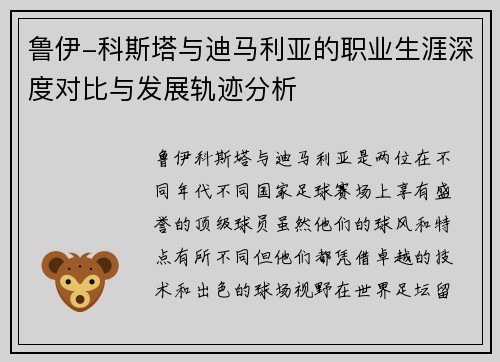 鲁伊-科斯塔与迪马利亚的职业生涯深度对比与发展轨迹分析