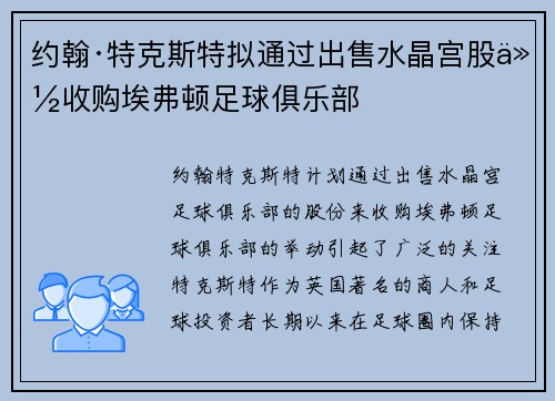 约翰·特克斯特拟通过出售水晶宫股份收购埃弗顿足球俱乐部